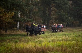 Pałace - Pałac Zaborówek - service - zdjęcie 7 