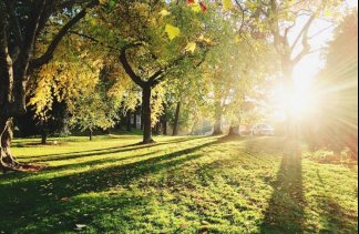 Pałace - Pałac Zaborówek - service - zdjęcie 6 