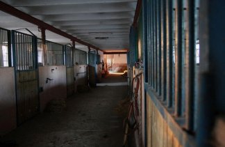 Pałace - Pałac Zaborówek - service - zdjęcie 8 