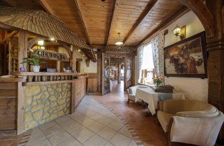 Hotele 3*** - Hotel Dwór Bogucin - obiekt - zdjęcie 6 