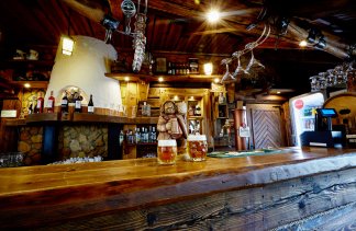 Hotele 3*** - Hotel Dwór Bogucin - restaurant - zdjęcie 13 