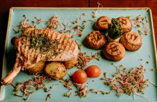 Hotele 3*** - Hotel Dwór Bogucin - restaurant - zdjęcie 1 