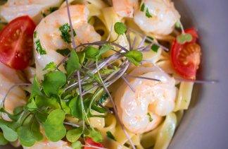 Hotele 3*** - Hotel Dwór Bogucin - restaurant - zdjęcie 7 