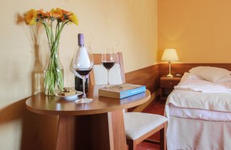 Hotele 3*** - Hotel Dwór Bogucin - Pokoje - zdjęcie 8 