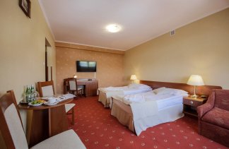 Hotele 3*** - Hotel Dwór Bogucin - Pokoje - zdjęcie 5 