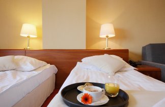 Hotele 3*** - Hotel Dwór Bogucin - Pokoje - zdjęcie 6 