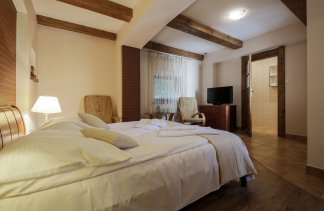 Hotele 3*** - Hotel Dwór Bogucin - Pokoje - zdjęcie 3 