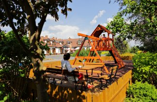 Hotele 3*** - Hotel Dwór Bogucin - service - zdjęcie 5 