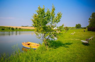 Hotele 3*** - Hotel Dwór Bogucin - service - zdjęcie 3 