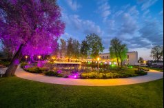 Hotele konferencyjne - Green Garden Hotel*** - zdjęcie 2