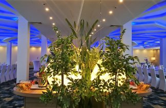 Hotele konferencyjne - Green Garden Hotel*** - obiekt - zdjęcie 11 