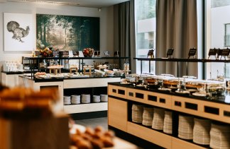 Obiekty konferencyjne - VISLOW Resort - obiekt - zdjęcie 24 