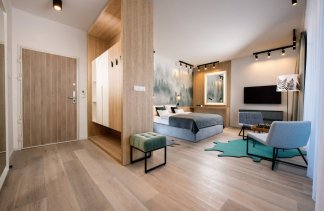 Obiekty konferencyjne - VISLOW Resort - Pokoje - zdjęcie 6 