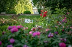 Pałace - Pałac Mała Wieś - zdjęcie 3