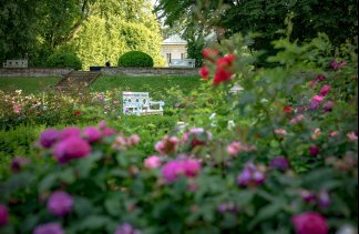 Pałace - Pałac Mała Wieś - obiekt - zdjęcie 3 