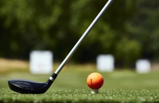 Pałace - Pałac Mała Wieś - service - zdjęcie 4 