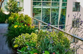 Sale konferencyjne - Sala Konferencyjna Herbewo - obiekt - zdjęcie 5 