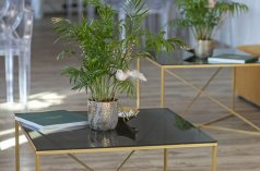 Obiekty konferencyjne - Mineralna 20 - zdjęcie 3