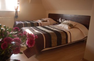 Hotele ** - Ołowianka.eu - obiekt - zdjęcie 11 