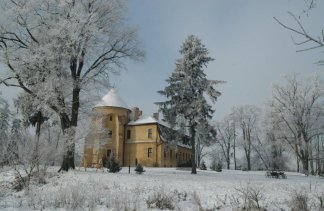 Zamki - Zamek Dobra - obiekt - zdjęcie 1 