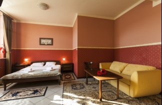 Centra konferencyjne - Centrum Biznesowe Fort Hotel - Pokoje - zdjęcie 7 