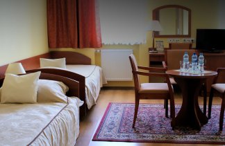 Centra konferencyjne - CENTRUM HOTELOWO KONFERENCYJNE WALD - obiekt - zdjęcie 8 