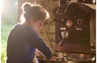 Pałace - Pałac Krobielowice - obiekt - zdjęcie 33 