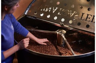 Pałace - Pałac Krobielowice - obiekt - zdjęcie 34 