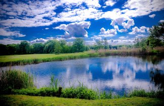 Pałace - Pałac Krobielowice - obiekt - zdjęcie 36 