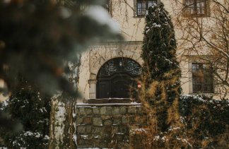 Pałace - Pałac Krobielowice - obiekt - zdjęcie 12 