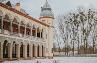 Pałace - Pałac Krobielowice - obiekt - zdjęcie 10 