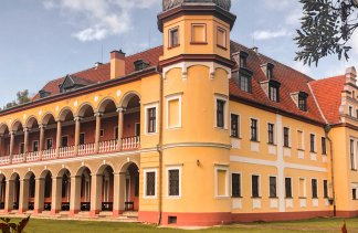 Pałace - Pałac Krobielowice - obiekt - zdjęcie 4 