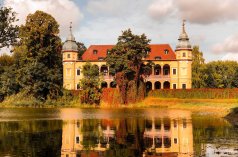 Pałace - Pałac Krobielowice - zdjęcie 3