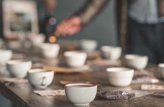 Pałace - Pałac Krobielowice - service - zdjęcie 14 