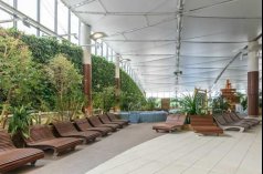 Centrum Konferencyjno-Wypoczynkowe - Termy Maltańskie - zdjęcie 3