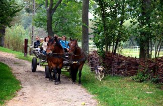 Hotele szkoleniowe - WIERZBOWE RANCZO - service - zdjęcie 1 