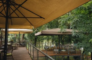 Dworki - Dwór Kolesin - restaurant - zdjęcie 5 