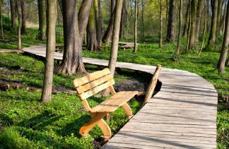 Dworki - Dwór Kolesin - service - zdjęcie 2 