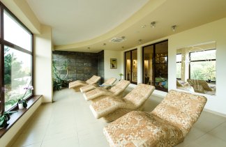 Hotele 3*** - Hotel Dziki Potok*** - obiekt - zdjęcie 33 