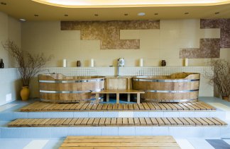 Hotele 3*** - Hotel Dziki Potok*** - obiekt - zdjęcie 31 