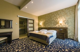 Hotele 3*** - Hotel Dziki Potok*** - obiekt - zdjęcie 11 