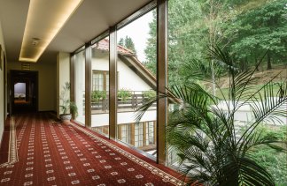 Hotele 3*** - Hotel Dziki Potok*** - obiekt - zdjęcie 20 