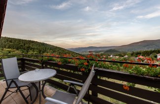 Hotele 3*** - Hotel Dziki Potok*** - obiekt - zdjęcie 21 