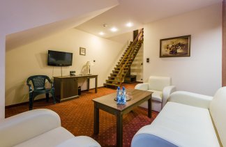 Hotele 3*** - Hotel Dziki Potok*** - Pokoje - zdjęcie 7 