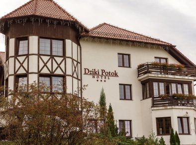 Hotel Dziki Potok*** - sale konferencyjne Karpacz