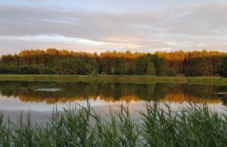 Centrum Konferencyjno-Wypoczynkowe - Hotel Odpocznia Resort i Las - obiekt - zdjęcie 44 