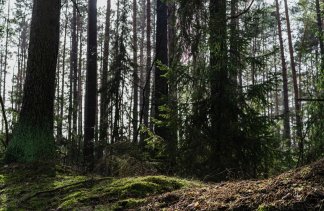 Centrum Konferencyjno-Wypoczynkowe - Hotel Odpocznia Resort i Las - obiekt - zdjęcie 45 