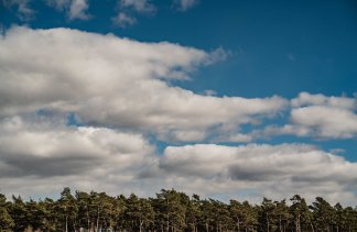 Centrum Konferencyjno-Wypoczynkowe - Hotel Odpocznia Resort i Las - obiekt - zdjęcie 46 