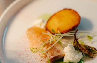 Centrum Konferencyjno-Wypoczynkowe - Hotel Odpocznia Resort i Las - restaurant - zdjęcie 4 