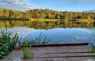 Centrum Konferencyjno-Wypoczynkowe - Hotel Odpocznia Resort i Las - service - zdjęcie 7 